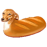 Dog Bread