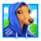 Dog Hodie