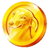 Gold Coin