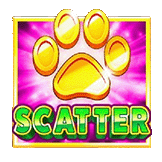 Scatter