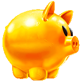 Gold Pig