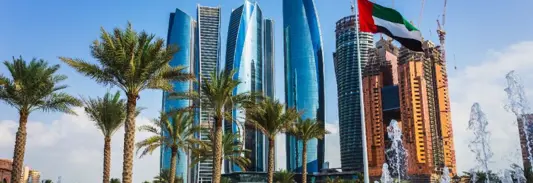 Yolo Group UAE licenses