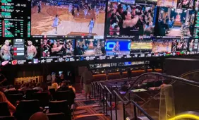 Young Dutch adults increasingly turning to sports betting this summer
