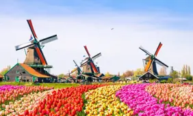 Dutch iGaming Market Faces Further Contraction as Two Operators Exit