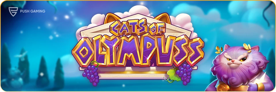 Cats of Olympuss